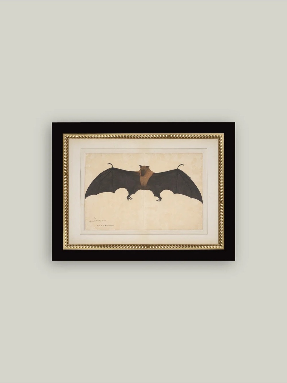 Black Bat Halloween Wall Art Framed Print